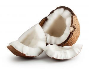 Fruit noix de coco