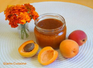 préparation aux abricots