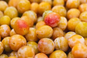 mirabelles fraîches